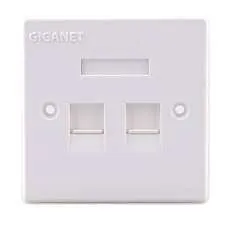 Giganet Double faceplate