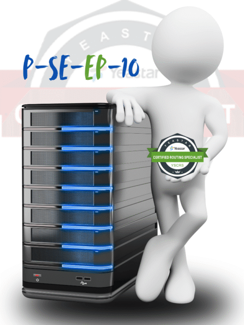 P-SE-EP-10 P-series Software Enterprise plan